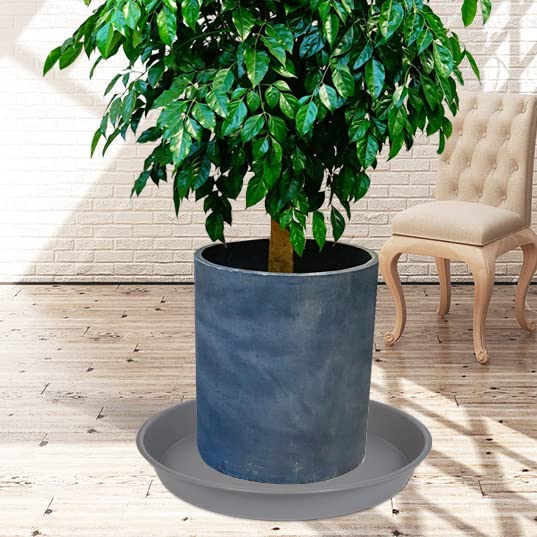 VUWEZ 6 Pack of Plant Saucer 8 Inch, 8 inch Plant Saucer Round, Plastic Flower Plant Trays for Pots, Plant Saucers for Indoors 8"", Plant Pot Saucers, Planter Tray for Planter 6-8"" (8"", Gray) - Image 4